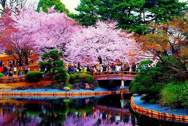 熊本游玩攻略_熊本旅游_熊本好玩的景点