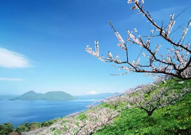 熊本旅游_熊本好玩的景点_熊本游玩攻略