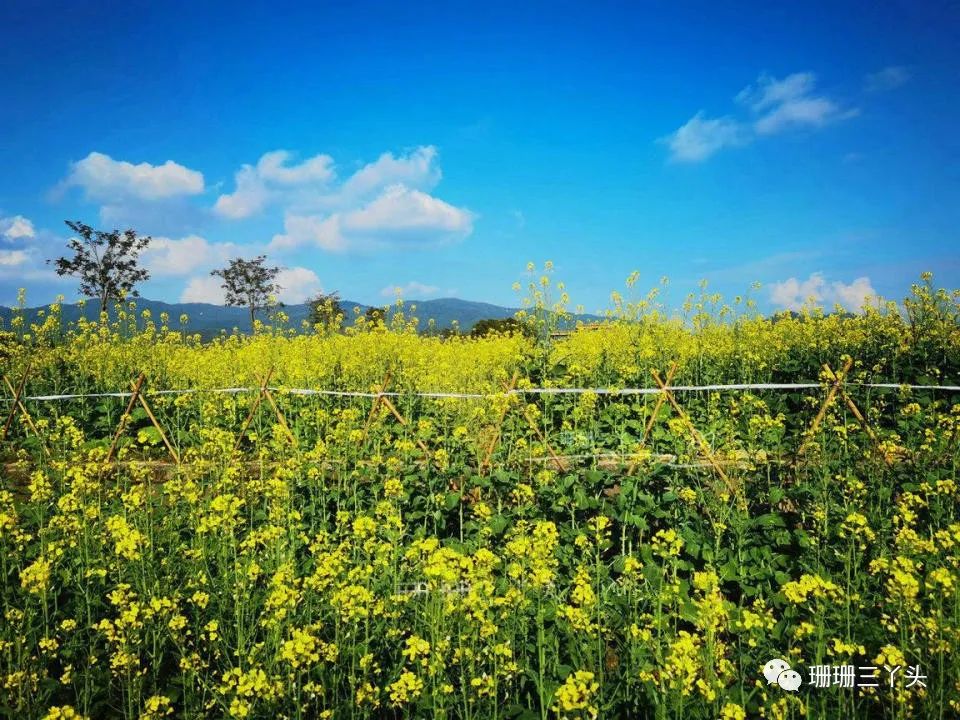 攻略增城旅游水寨白天可以玩吗_增城白水寨2天旅游攻略_攻略增城旅游水寨白天能玩吗