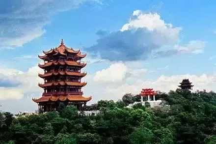 辰山植物园旅游攻略_济南到云台山旅游攻略_南昌到南矶山旅游攻略
