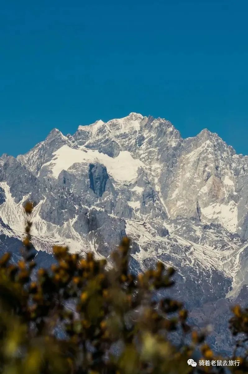 去云南玉龙雪山旅游，这里有一些攻略供你参考