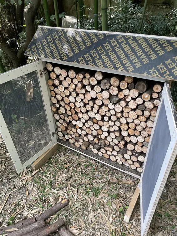 上海大自然野生昆虫馆旅游攻略_上海昆虫馆开放时间_上海野生昆虫博物馆介绍
