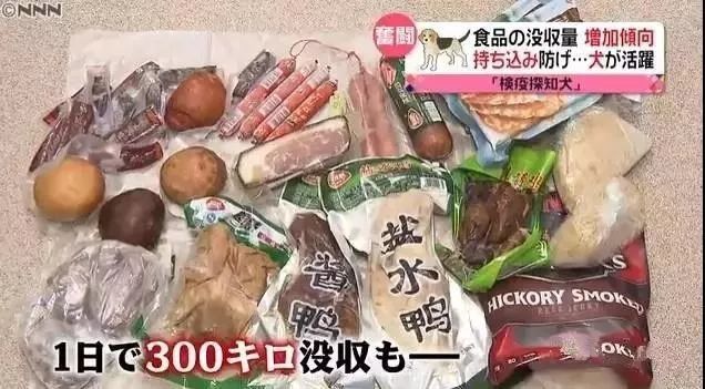 出国旅游携带物品清单_出国携带物品清单_旅游携带携带必备物品