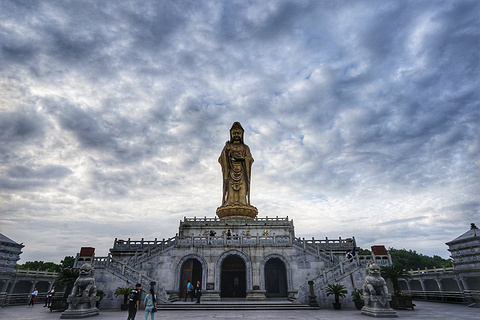 普陀山旅游攻略，不肯去观音院，商务快艇100