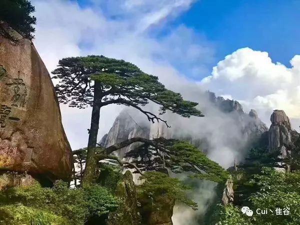 中国最美的10大名山，你去过几个？